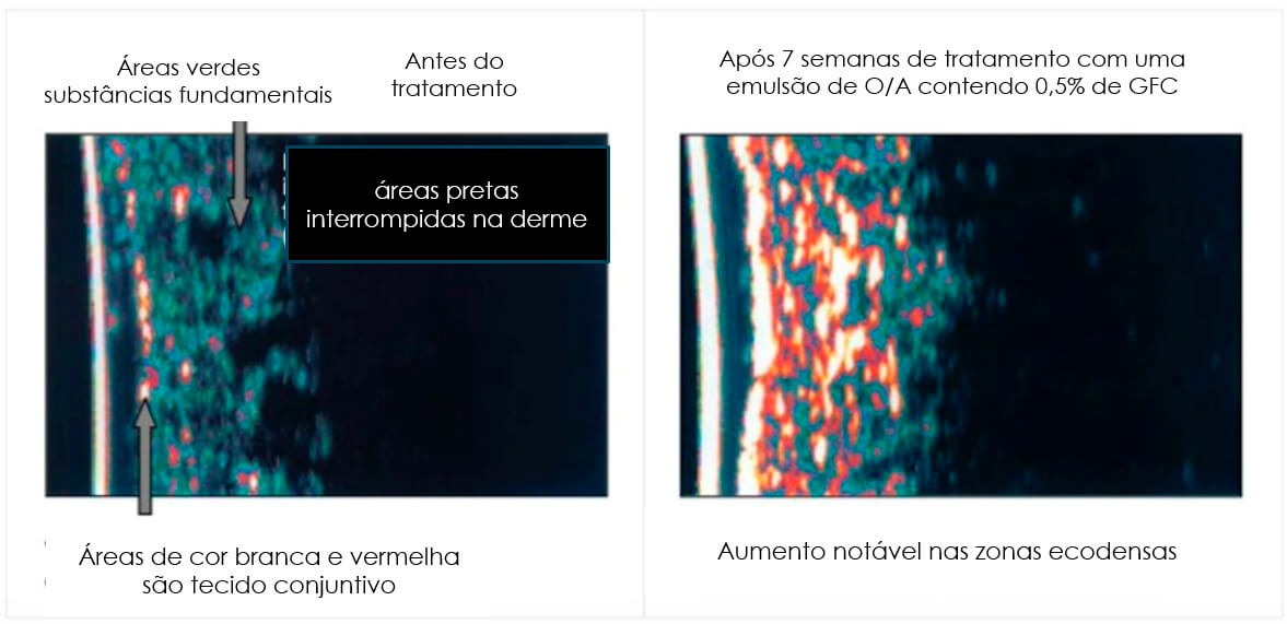 grafico-07